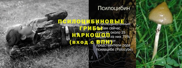 спиды Медвежьегорск