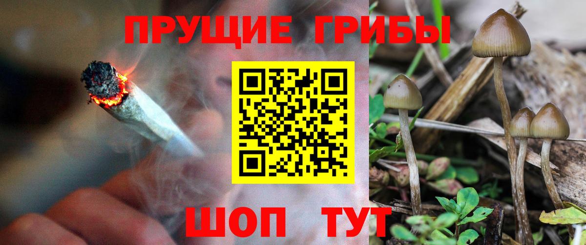 Лангепас  Псилоцибиновые грибы Psilocybe  Вход с VPN  Галлюциногенные грибы GOLDEN TEACHER 